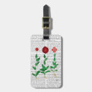 Recherche de oeillet accessoires Fleurs