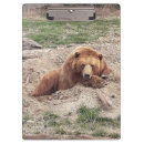 Recherche de ours brun porte blocs Animaux