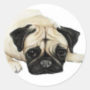 Search for pug dogs stickers Watercolor