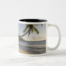 Recherche de les seychelles tasses Arbre