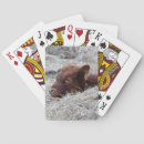 Search for novelty playing cards Cute