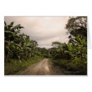 Search for the way forward postcards Travel destinations