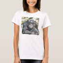 Recherche de chimpanzee tshirts Chimpanzés