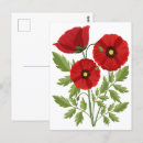 Recherche de pavot cartes postales Fleur sauvage