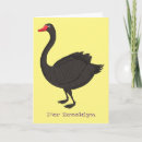 Search for waterbirds cards Swan