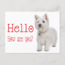 Recherche de westies cartes postales Chien