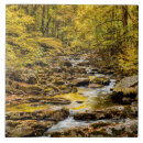 Recherche de blue ridge mountains Caroline du nord