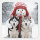 Search for siberian husky dog stickers Cute