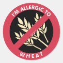Search for wheat stickers Food allergy