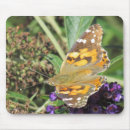 Recherche de macro tapis souris Papillon