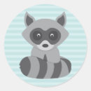 Search for raccoon stickers Modern