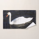 Recherche de cygne muet Oiseau