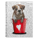 Recherche de bouledogue français Chiot