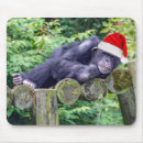 Search for funny chimps mousepads Humour