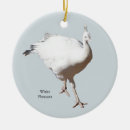 Search for pheasant ornaments Animal