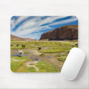 Search for andes mountain mousepads South america