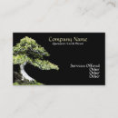 Recherche de bonsaï cartes visite Plante