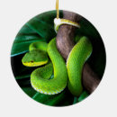 Recherche de vipère ornements Reptile