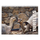 Search for tortoise calendars Wildlife