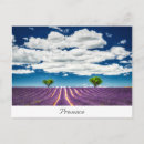 Recherche de provence cartes postales Champs