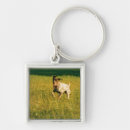 Search for running keychains Dog