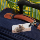 Recherche de lapin bagages étiquettes Bois