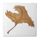 Search for maple leaf tiles Nature