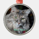 Search for meow ornaments Pet