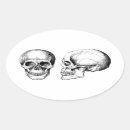 Search for skull face stickers Skeleton