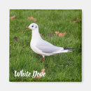 Recherche de animal lover magnets Nature