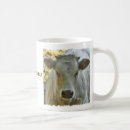 Search for vache France