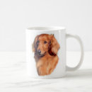 Recherche de longs cheveux tasses Teckel