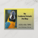 Recherche de perroquets cartes visite Animal