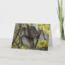 Search for ratties cards Animals