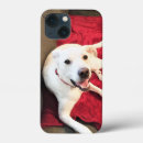 Search for smiling dog iphone cases Puppy