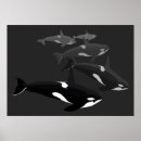 Recherche de tueur posters Baleine