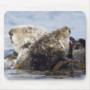 Search for grooming mousepads Sea