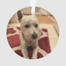 Recherche de chien westie ornements Noël