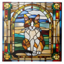 Recherche de chat dallée Chaton