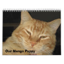 Search for puppy calendars Photos