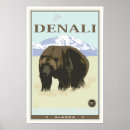 Search for denali national park Grizzly
