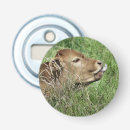 Search for cow bottle openers Calf