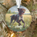Search for german shorthaired pointer ornaments Cute