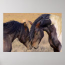 Recherche de les soins des animaux art Nature