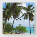 Search for palm tree wall Plants