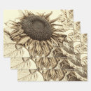 Search for vintage style wrapping paper Decoupage