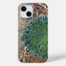 Recherche de succulent iphone coques Botanique