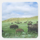 Search for theodore roosevelt stickers Buffalo
