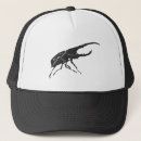 Search for beetle hats Illustration