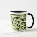 Search for shutter mugs Architecture